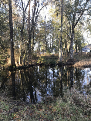 [Franks Creek @ GA 122, 2023-12-20]