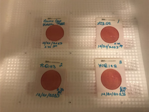 [Plates, Franks Creek @ GA 122 2023-12-20]