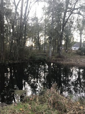 [Franks Creek @ GA 122 other, 2023-12-27]