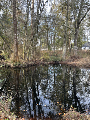 [Franks Creek @ GA 122, 2024-01-03]