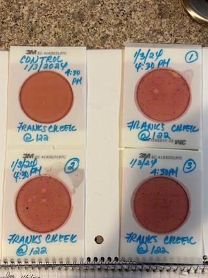 [Plates, Franks Creek @ GA 122 2024-01-03]
