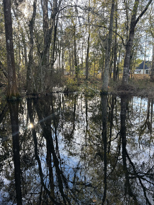[Franks Creek @ GA 122, 2024-01-11]