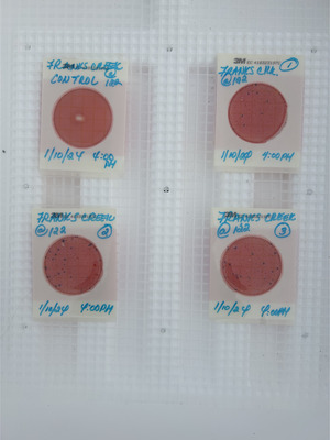 [Plates, Franks Creek @ GA 122 2024-01-11]