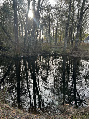 [Franks Creek @ GA 122, 2024-01-17]