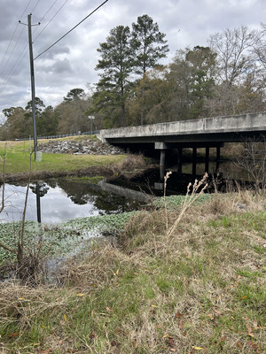 [Franks Creek @ GA 122, 2024-01-25]