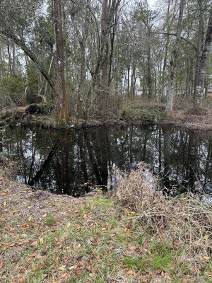 [Franks Creek @ GA 122 Bridge, 2024-01-25]