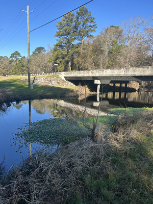 [Franks Creek @ GA 122, 2024-01-31]