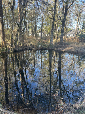 [Franks Creek @ GA 122 Bridge, 2024-01-31]