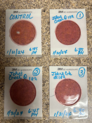 [Plates, Franks Creek @ GA 122 2024-01-31]