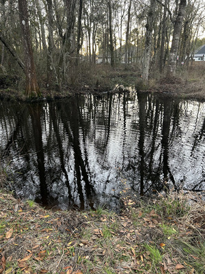 [Franks Creek @ GA 122, 2024-02-14]