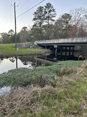 [Franks Creek @ GA 122 Bridge, 2024-02-14]