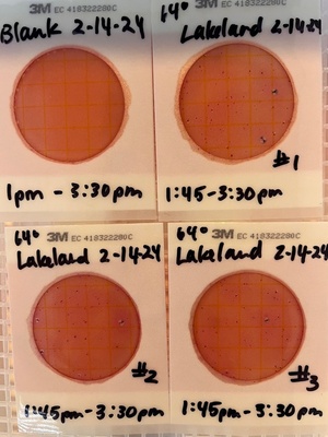 [Plates, Lakeland Boat Ramp 2024-02-14]