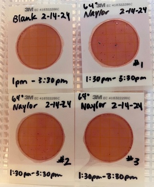 [Plates, Naylor Park Beach 2024-02-14]