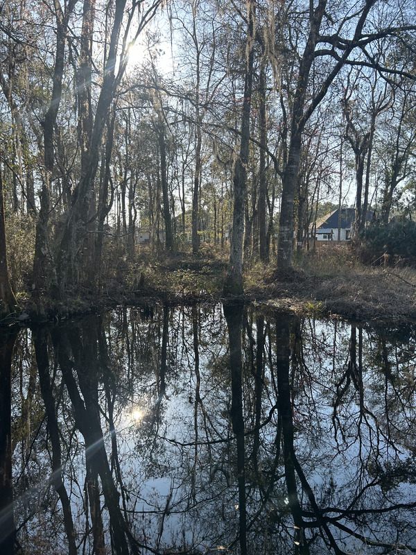 Franks Creek @ GA 122 other, Withlacoochee River @ Frankinville Road 2024-02-21