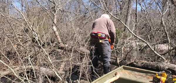 Movie: New deadfall since last time, 12:23:24, 30.8590496, -83.3242330 (9.2M)