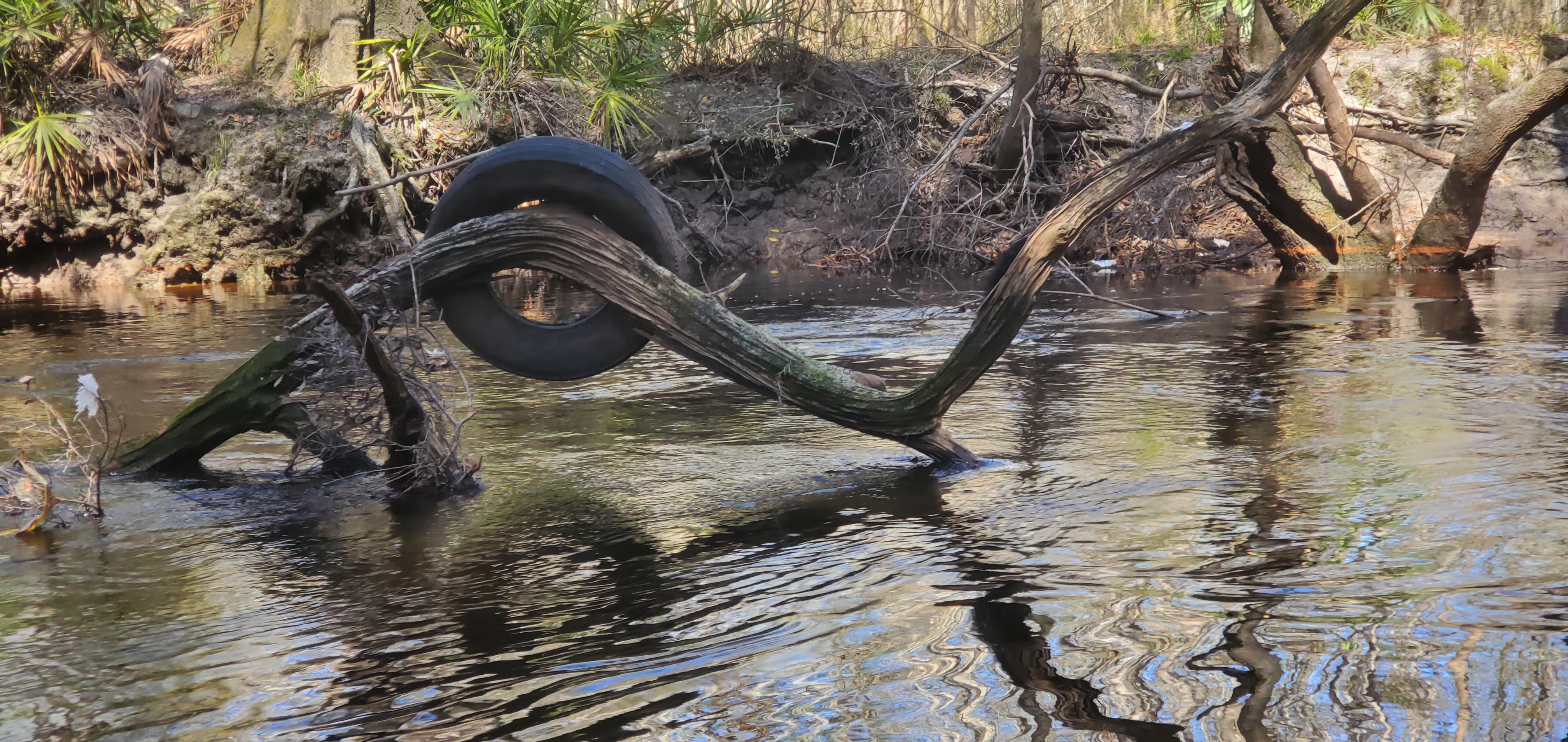 Tire on log, 12:14:06, 30.8600962, -83.3255324