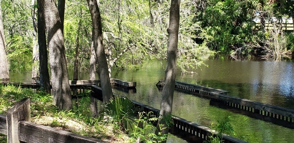 Underwater, Ivey Memorial Park Ramp, Suwannee River @ US 27 2024-04-04