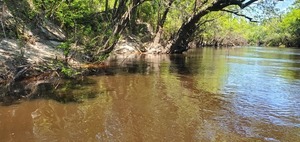 [Martin Branch With swing ropes, 13:06:13, 30.7621076, -83.0436496]