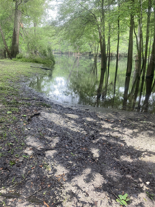 [Point Park, Ichetucknee River @ SW Riverside Ave. 2024-05-15]