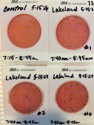 [Plates, Lakeland Boat Ramp 2024-05-15]