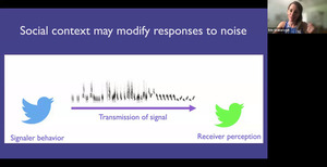 [Social context may modify responses to noise]