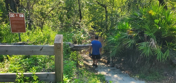 [Jennings Bluff steps, 2024:07:13 10:09:46, 30.5799923, -83.0393456]