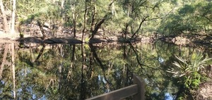 [Dead River, 2024:07:13 10:23:25, 30.5820388, -83.0512075]