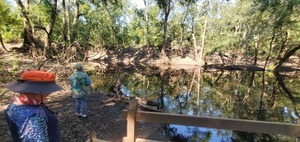 [Dead River Sink and people, 2024:07:13 10:23:37, 30.5820388, -83.0512075]