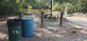 [Blue Drum and Little River at Troupville Boat Ramp, 16:25:10, 30.8511965, -83.3470783]