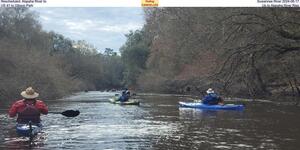 [Alapaha River to Suwannee River 2024-08-17, US 41 to Gibson Park, Up to Alapaha River Rise]