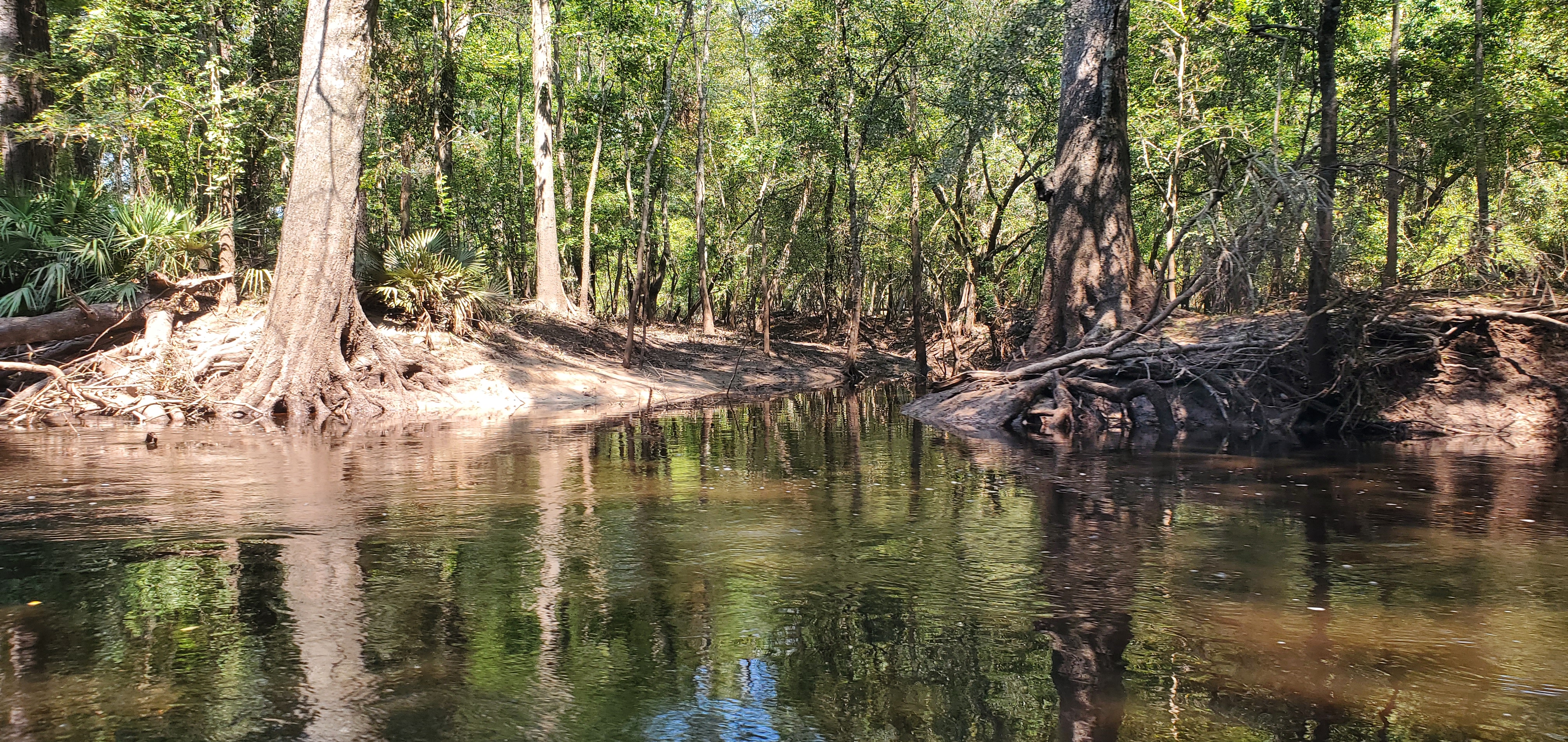 Un-named right bank creek, 11:52:39, 30.8542901, -83.3379522