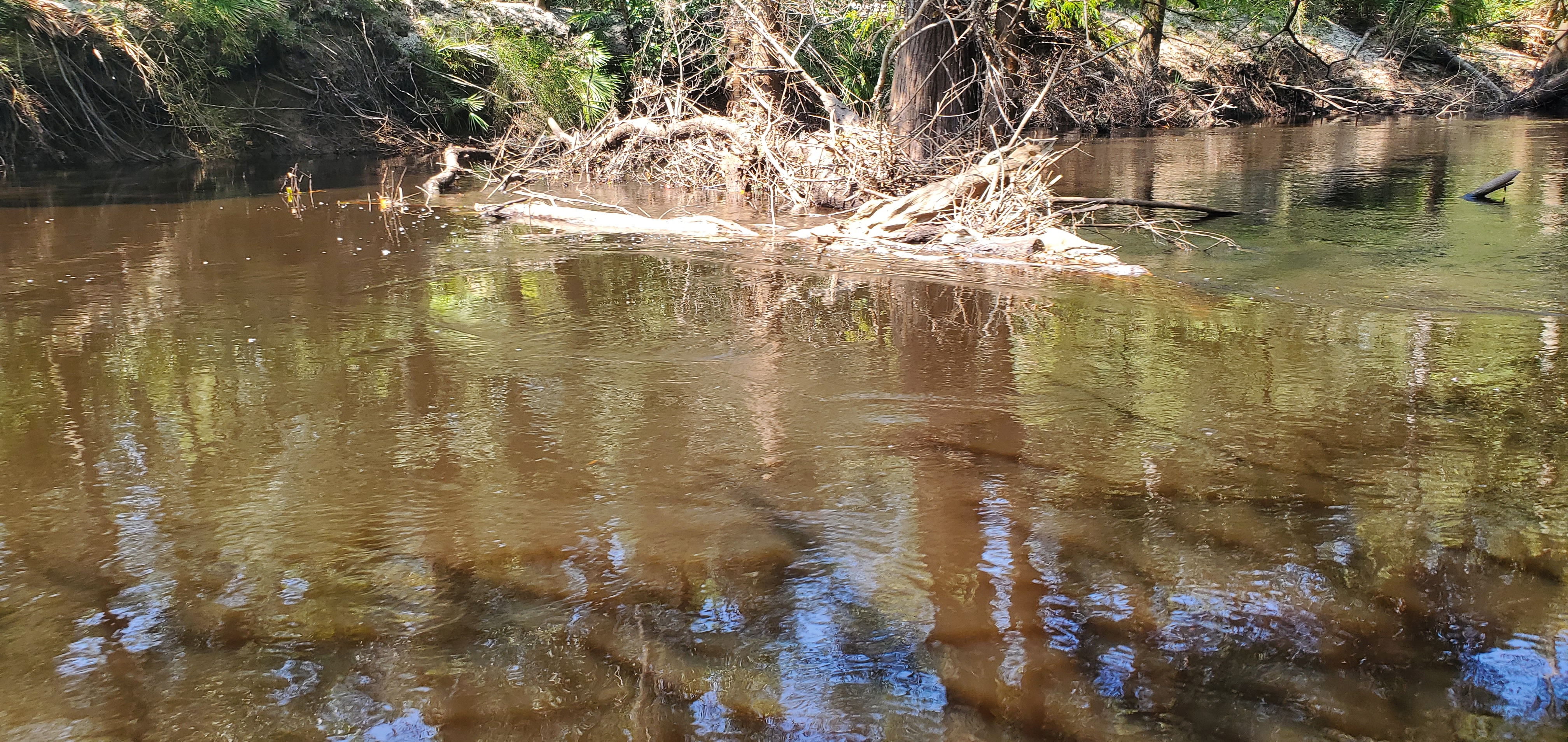 Floating trash, 11:59:41, 30.8470474, -83.3412083