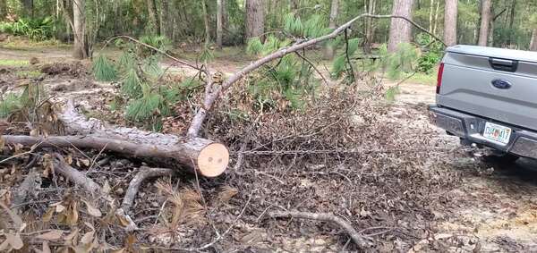 Movie: Logging chain, trailor hitch, deadfall section, 09:19:51, 30.8866027, -83.3230536 (14M)
