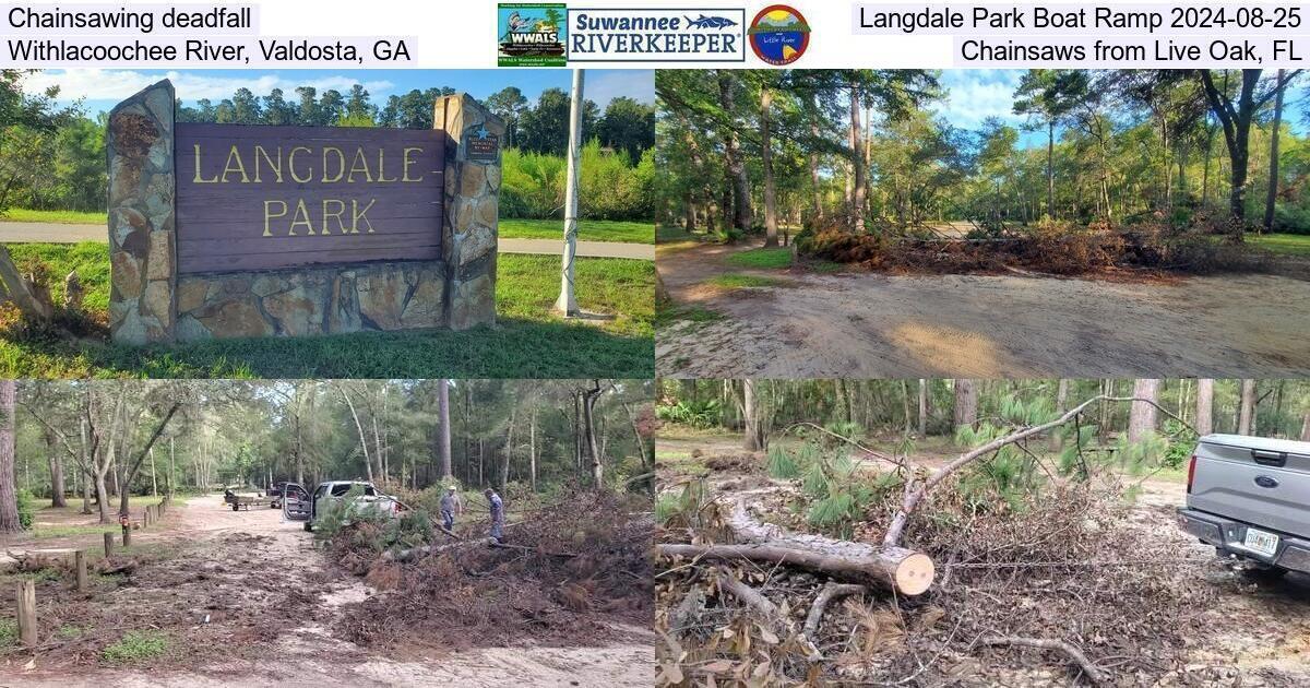 Chainsawing deadfall, Langdale Park Boat Ramp 2024-08-25, Withlacoochee River, Valdosta, GA, Chainsaws from Live Oak, FL