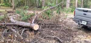 [Movie: Logging chain, trailor hitch, deadfall section, 09:19:51, 30.8866027, -83.3230536 (14M)]
