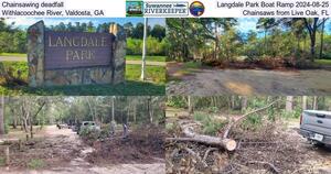 [Chainsawing deadfall, Langdale Park Boat Ramp 2024-08-25, Withlacoochee River, Valdosta, GA, Chainsaws from Live Oak, FL]