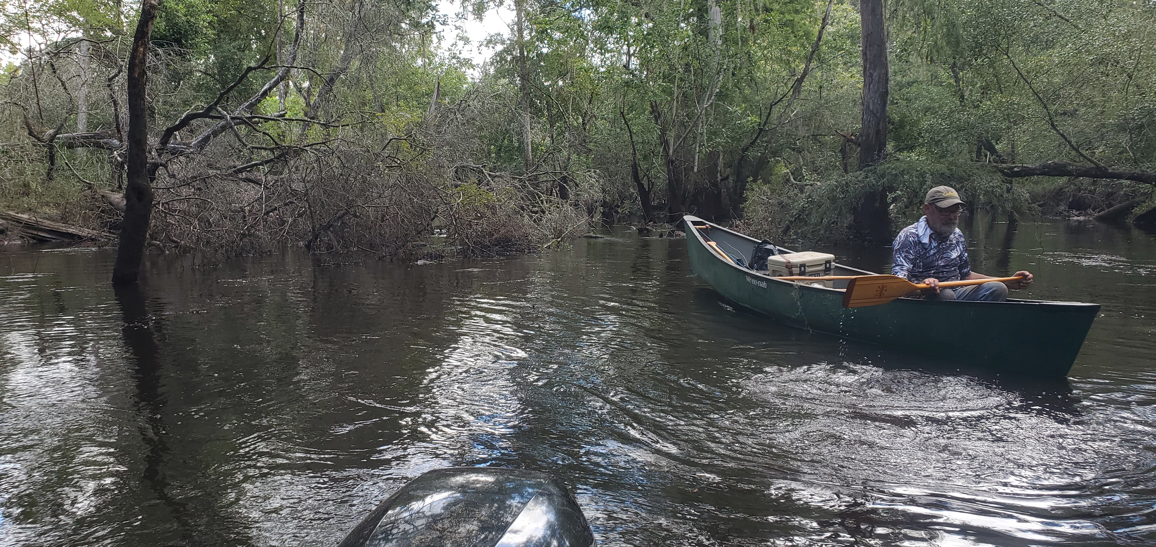 Enough to paddle through; that was our goal, 12:06:48, 30.8809865, -83.3257933