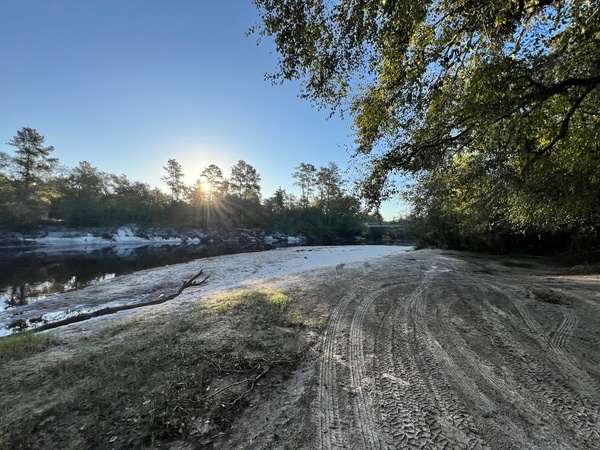 Upstream, Naylor Park Beach, Alapaha River @ US 84 2024-08-29