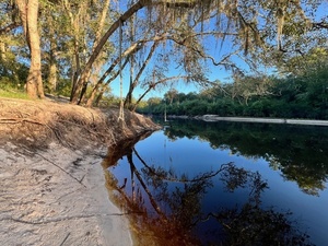 [Downstream, Naylor Park Beach, Alapaha River @ US 84 2024-08-29]