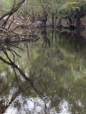 [Downstream, Staten Road, Withlacoochee River @ Staten Road 2024-09-05, 2024:09:05 09:47:19, 30.9279528, -83.2934278]