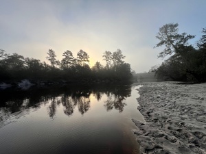 [Upstream, Naylor Park Beach, Alapaha River @ US 84 2024-09-19]