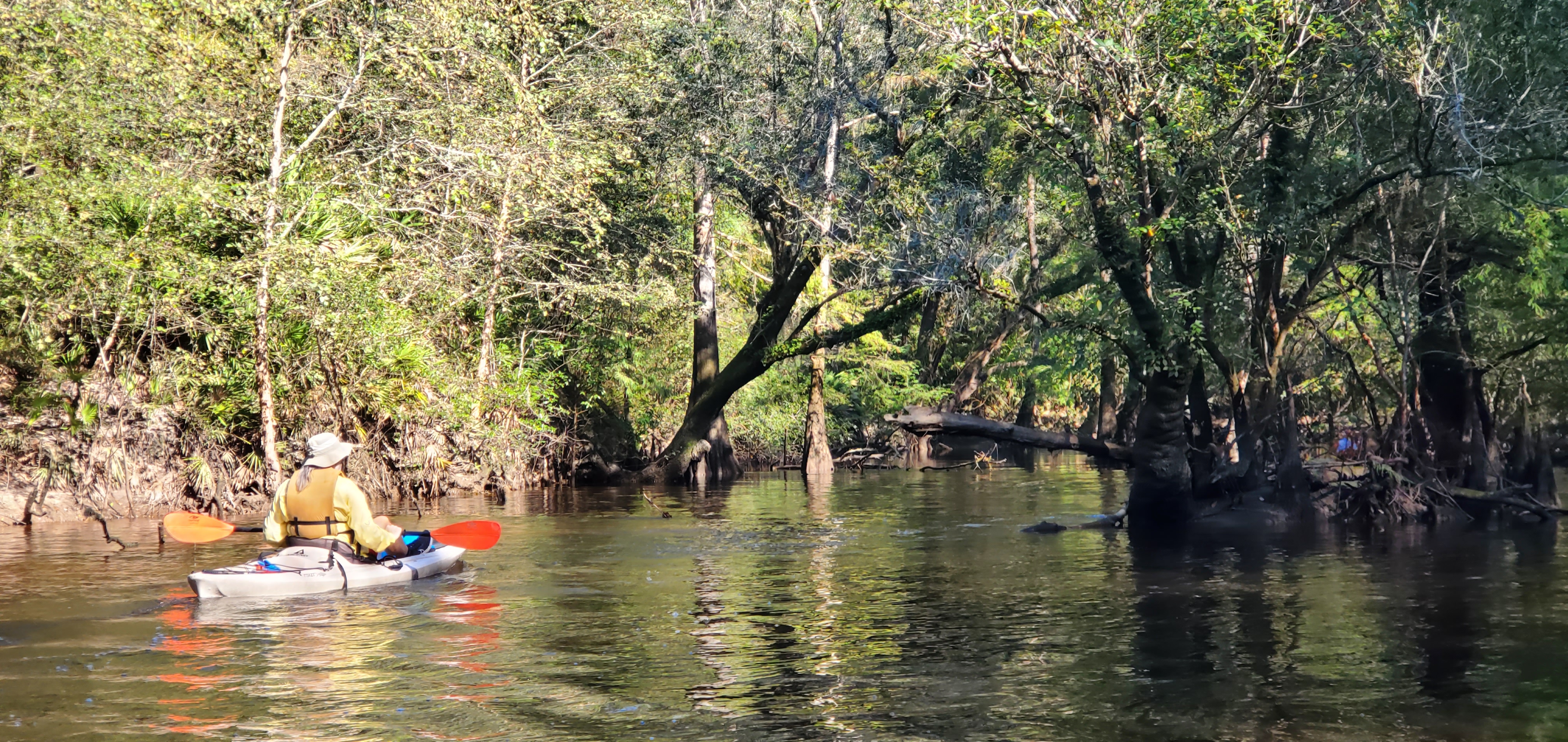Lon at a narrow stretch --John S. Quarterman, 10:13:18, 31.2061580, -83.5097604