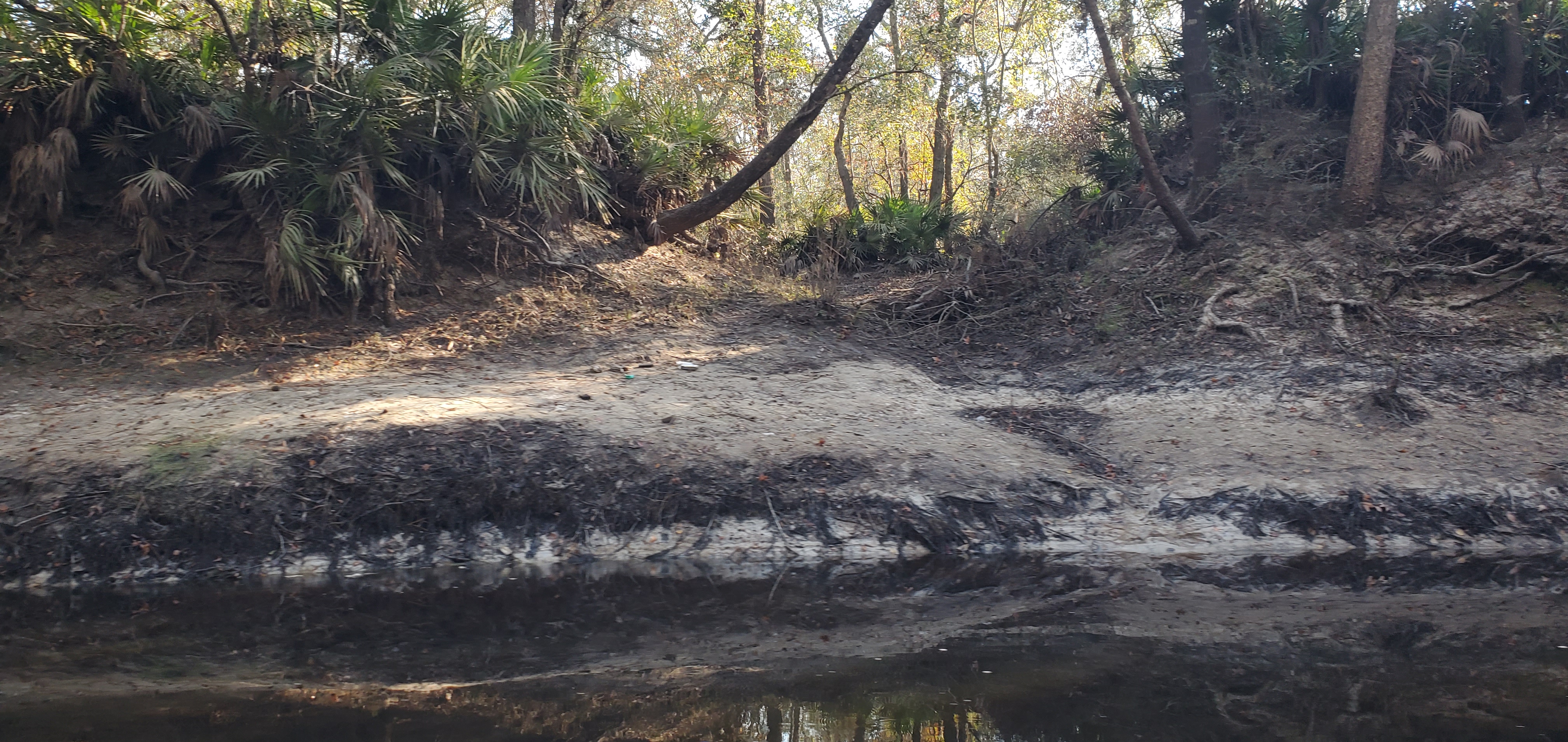 Trash at a fishing spot, Little River, 10:12:03, 30.8492142, -83.3489822