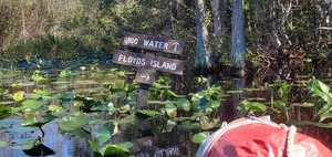 [Floyds Island to the right, 2023-11-04, 30.8754139, -82.3025206]
