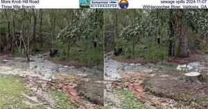 [More Knob Hill Road sewage spills 2024-11-07, Three Mile Branch, Withlacoochee River, Valdosta, GA]