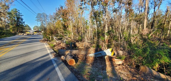 Upstream railing, Country Club Road, Three Mile Branch 2024-12-02