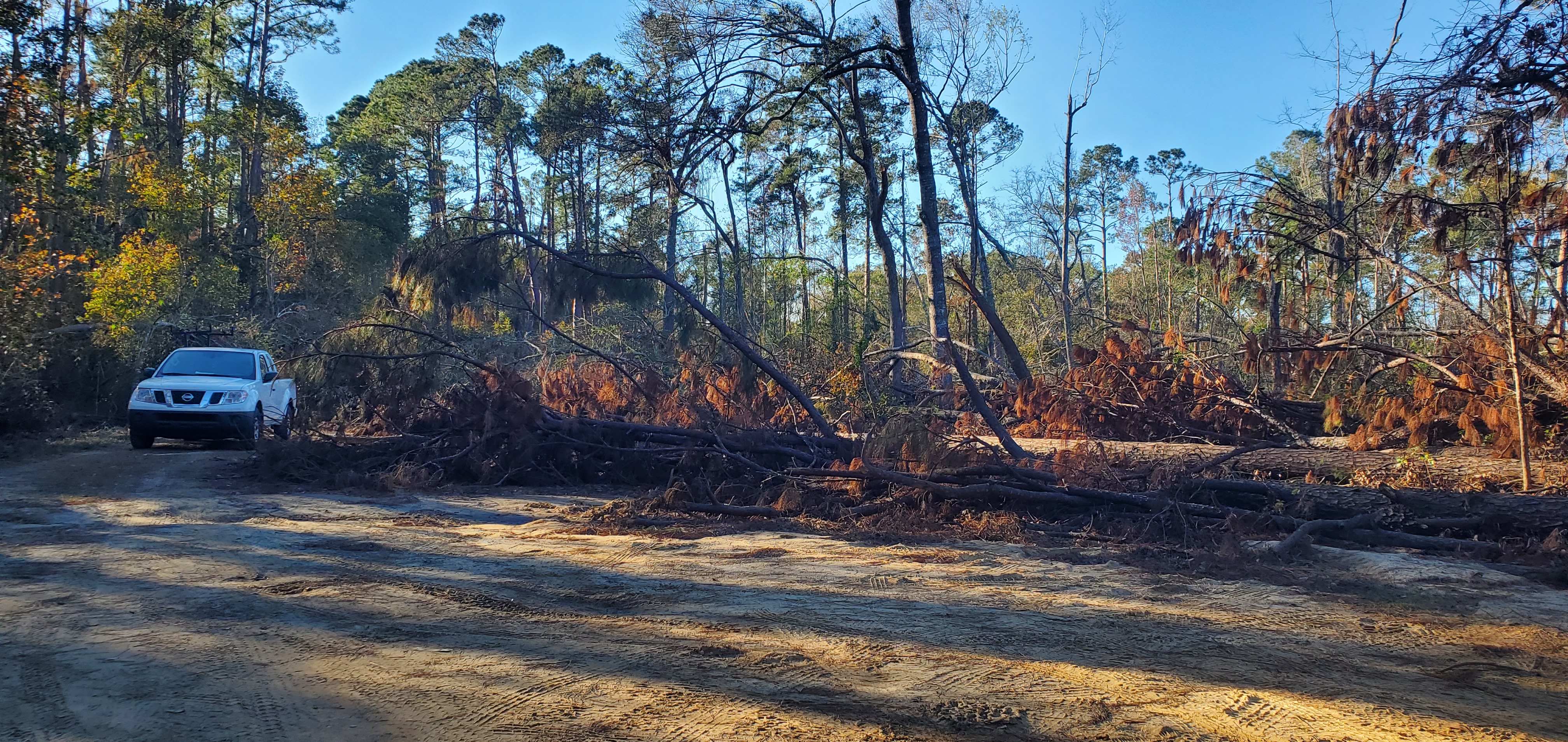 Hyta Mederer Road, Langdale Park, Withlacoochee River 2024-12-02