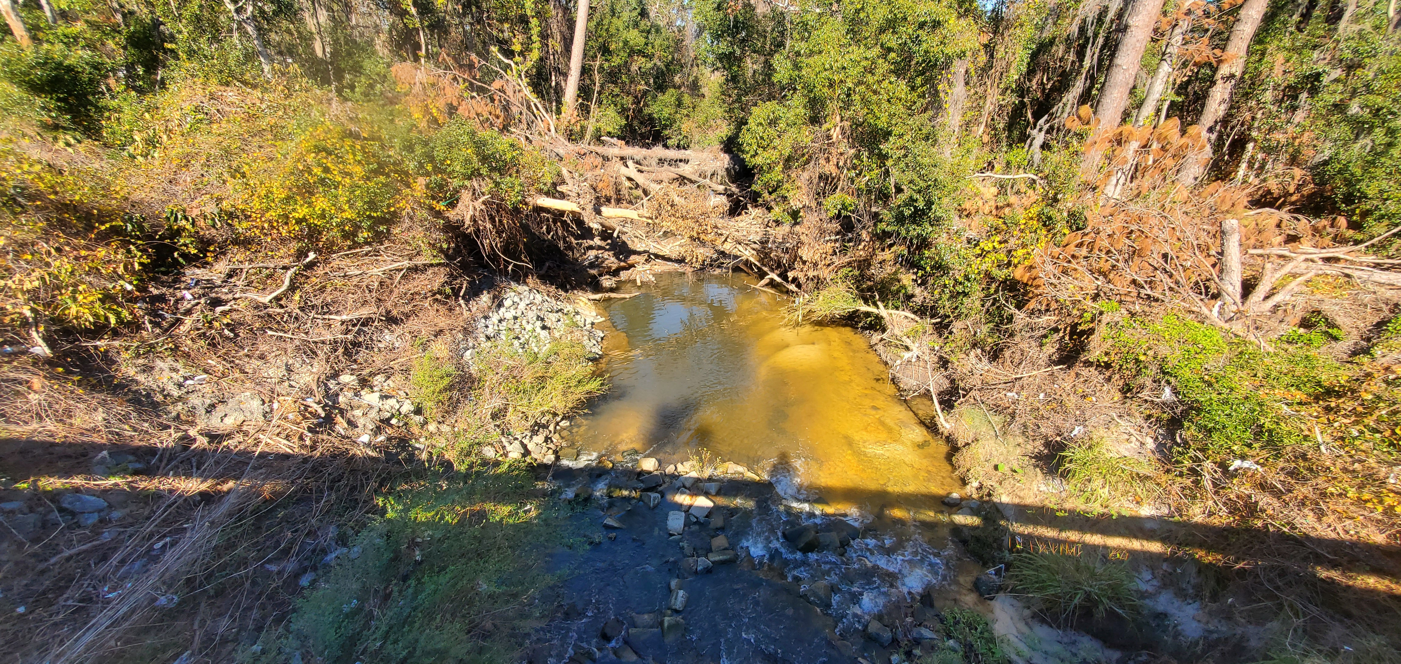Baytree Road, Sugar Creek 2024-12-12, 12:46:05, 30.8470014, -83.3145335