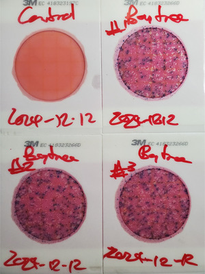 [Plates, Baytree Road, Sugar Creek, 2024-12-12]