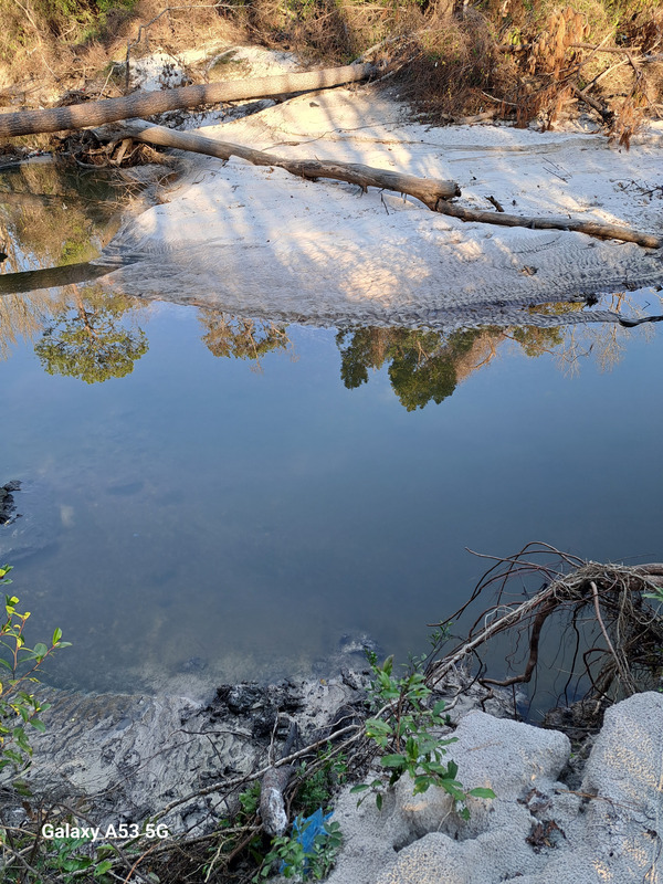 [Beach across Sugar Creek behind Outdoor Living 2025-01-01 16:04:57]